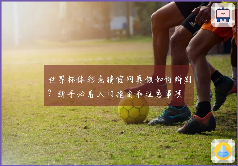 世界杯体彩竞猜官网真假如何辨别？新手必看入门指南和注意事项
