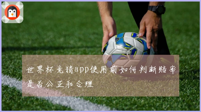 世界杯竞猜app使用前如何判断赔率是否公正和合理